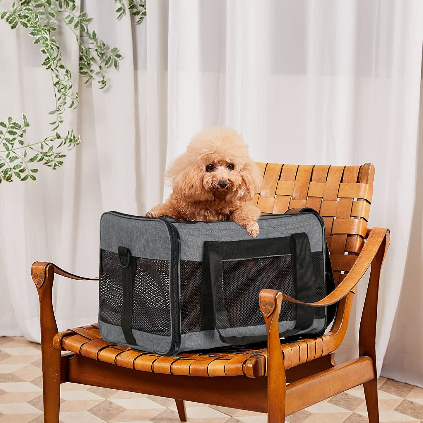 Cat Carrier Dog Carrier Pet Carrier for Small Medium