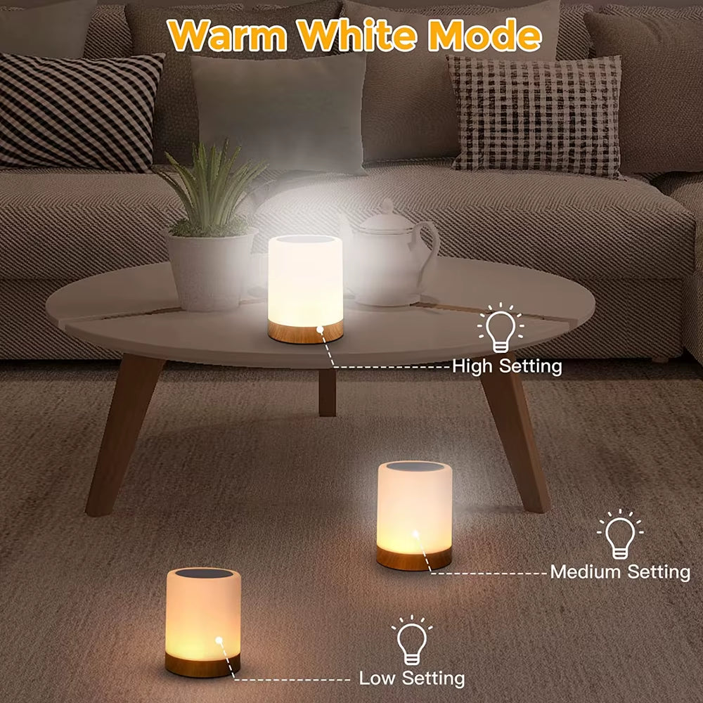 Touch Lamp LED Table Lamp Bedside Lamp RGB