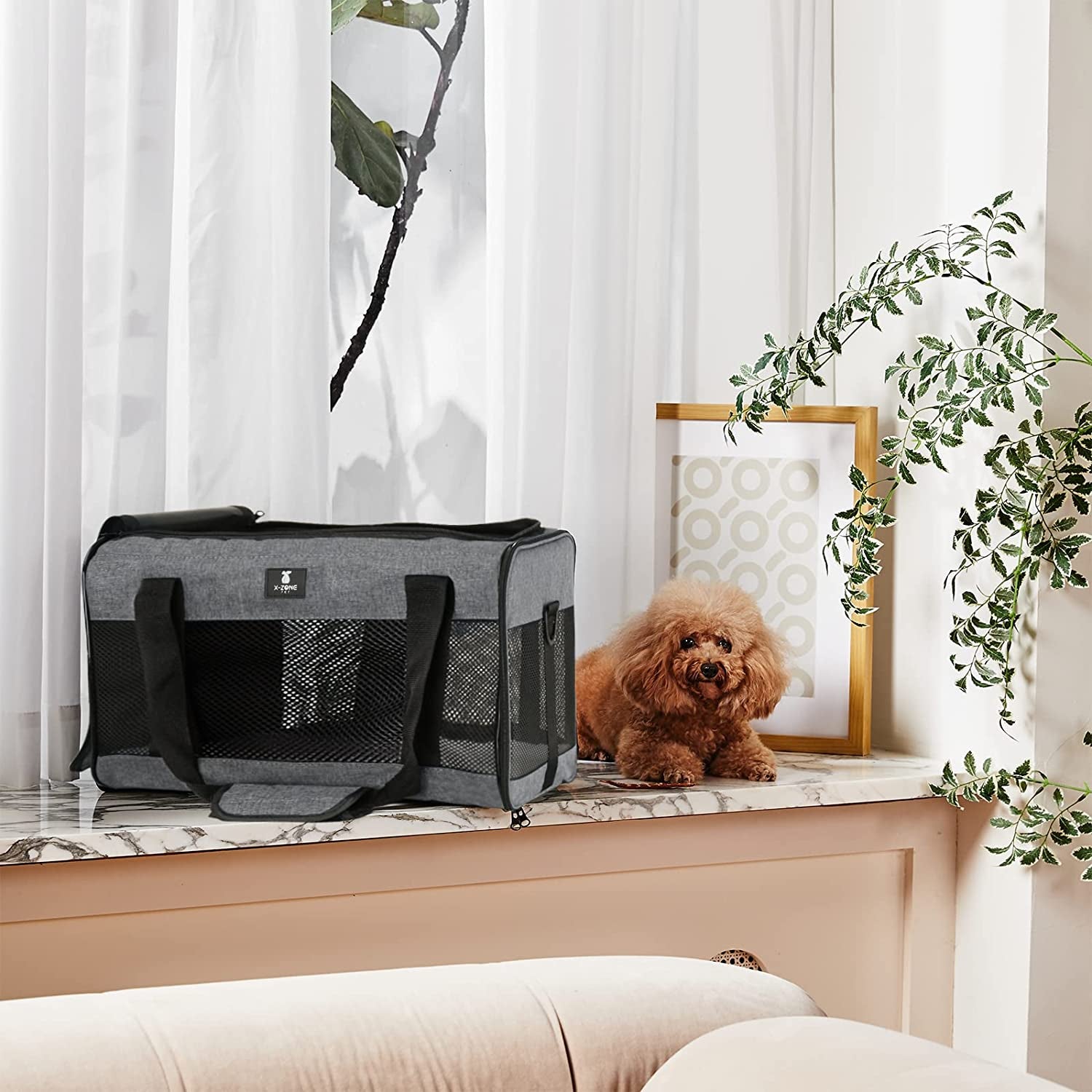 Cat Carrier Dog Carrier Pet Carrier for Small Medium