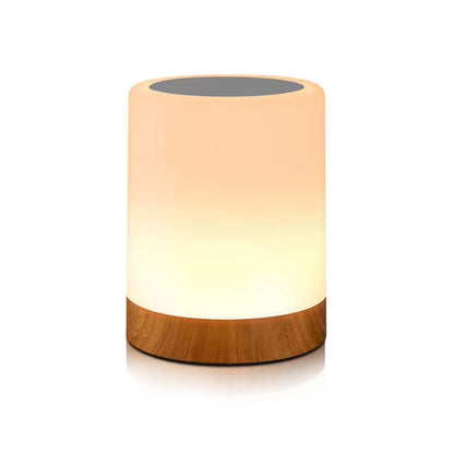 Touch Lamp LED Table Lamp Bedside Lamp RGB