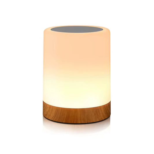 Touch Lamp LED Table Lamp Bedside Lamp RGB